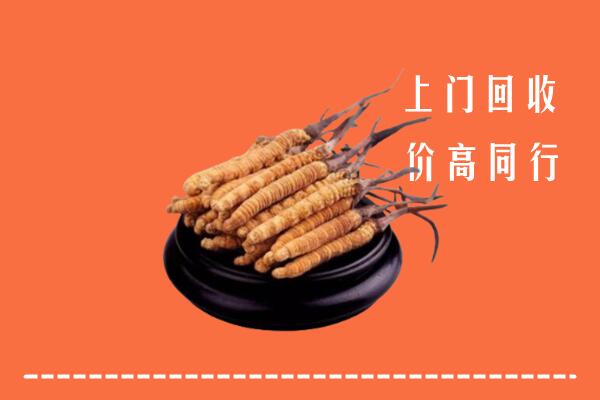 高价求购：滁州市全椒县回收散虫草