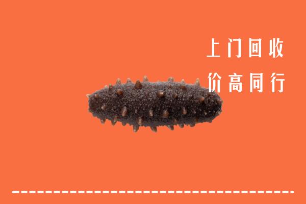 高价求购：滁州市全椒县回收海参